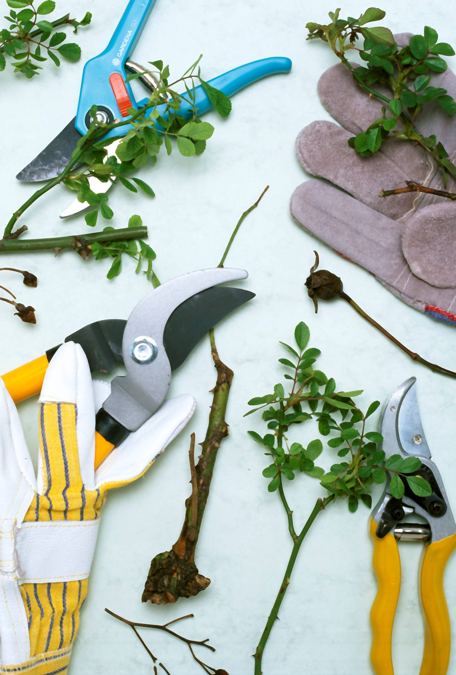 Workshop Natuurlijk Snoeien