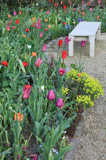 Seizoenenborder april Seizoenenborder april
