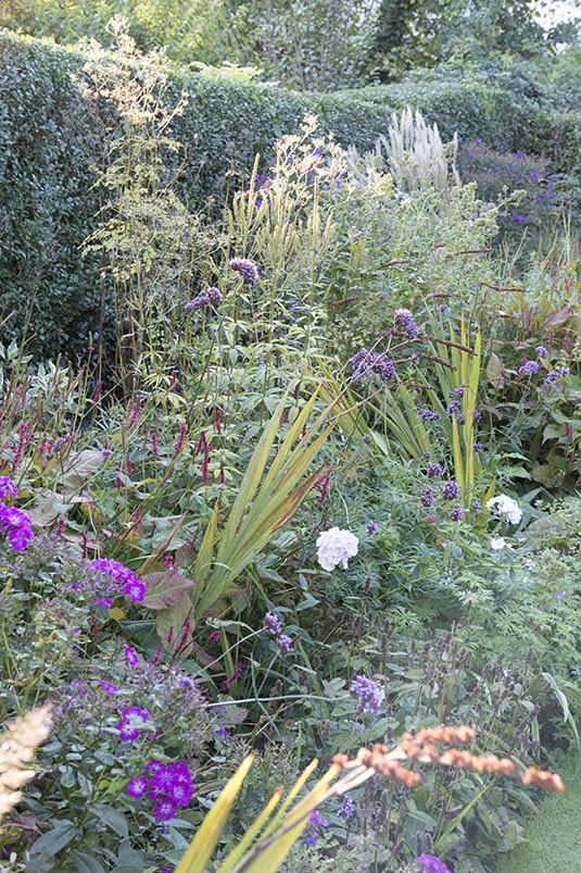 Seizoenenborder september Seizoenenborder september